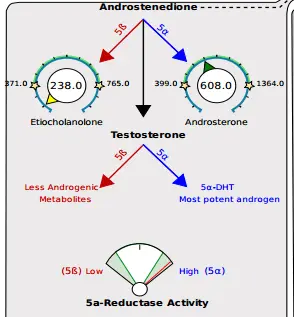 a diagram showing the breakdown of androgens with varying degrees of 5 alpha reductase activity. 