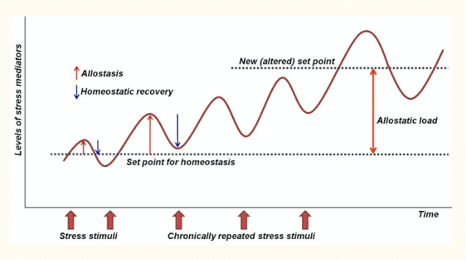 chronic stress and its impact on cortisol levels