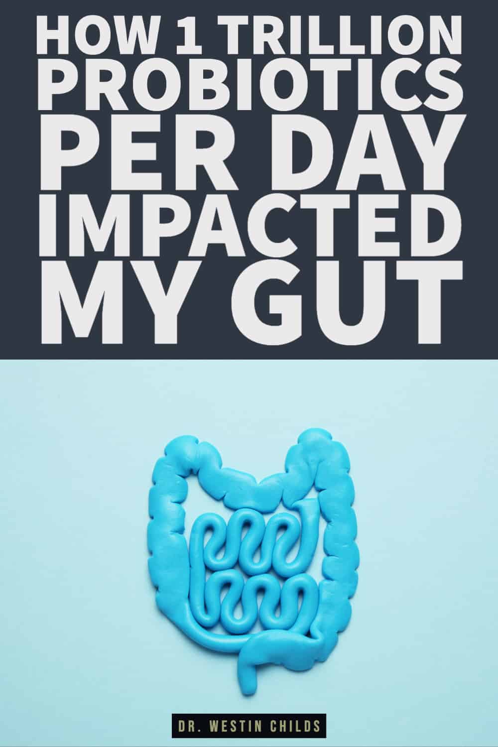 how 1 trillion probiotics per day impacted my gut