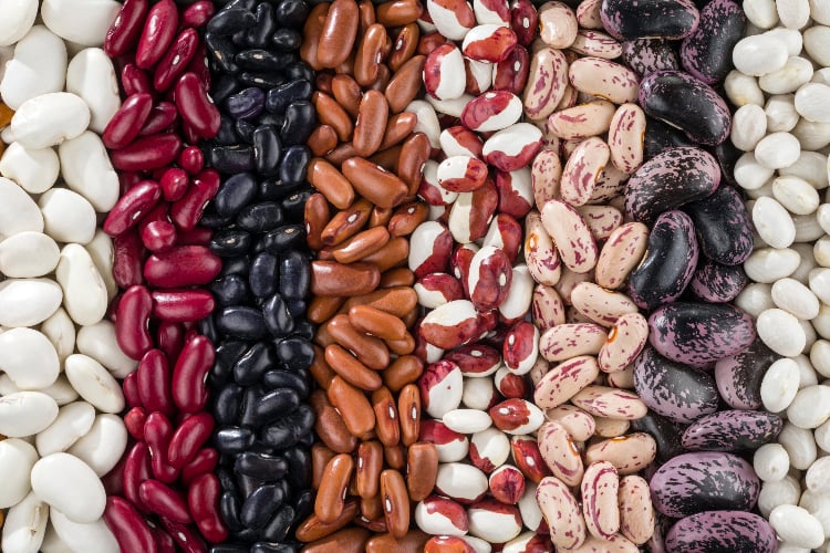 beans and legumes may cause gut problems for thyroid patients