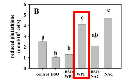 impact of whey protein isolate on reduced glutathione compared to other compounds. 