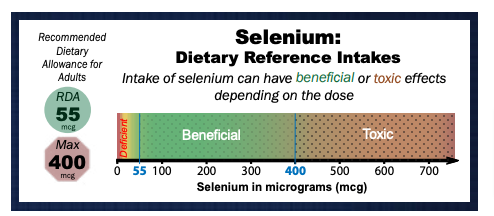 graph outlining selenium intake on a gradient from beneficial to harmful based on the dose