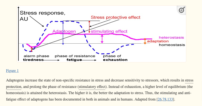 proposed mechanism of adaptogens on the stress response system