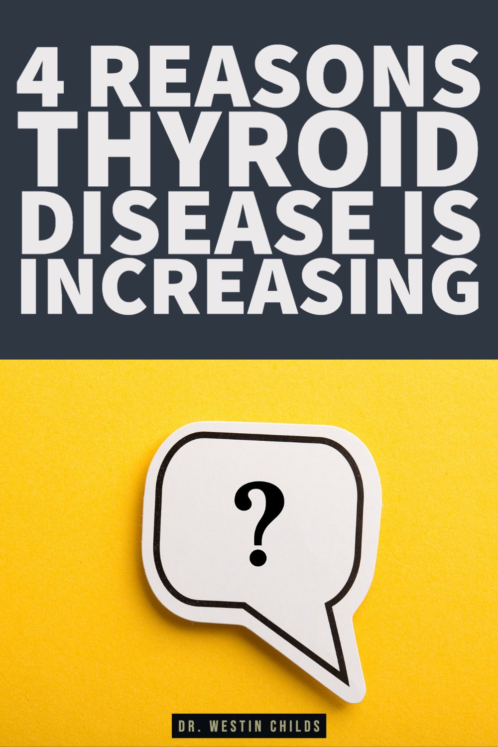 the connection between your thyroid & belly fat