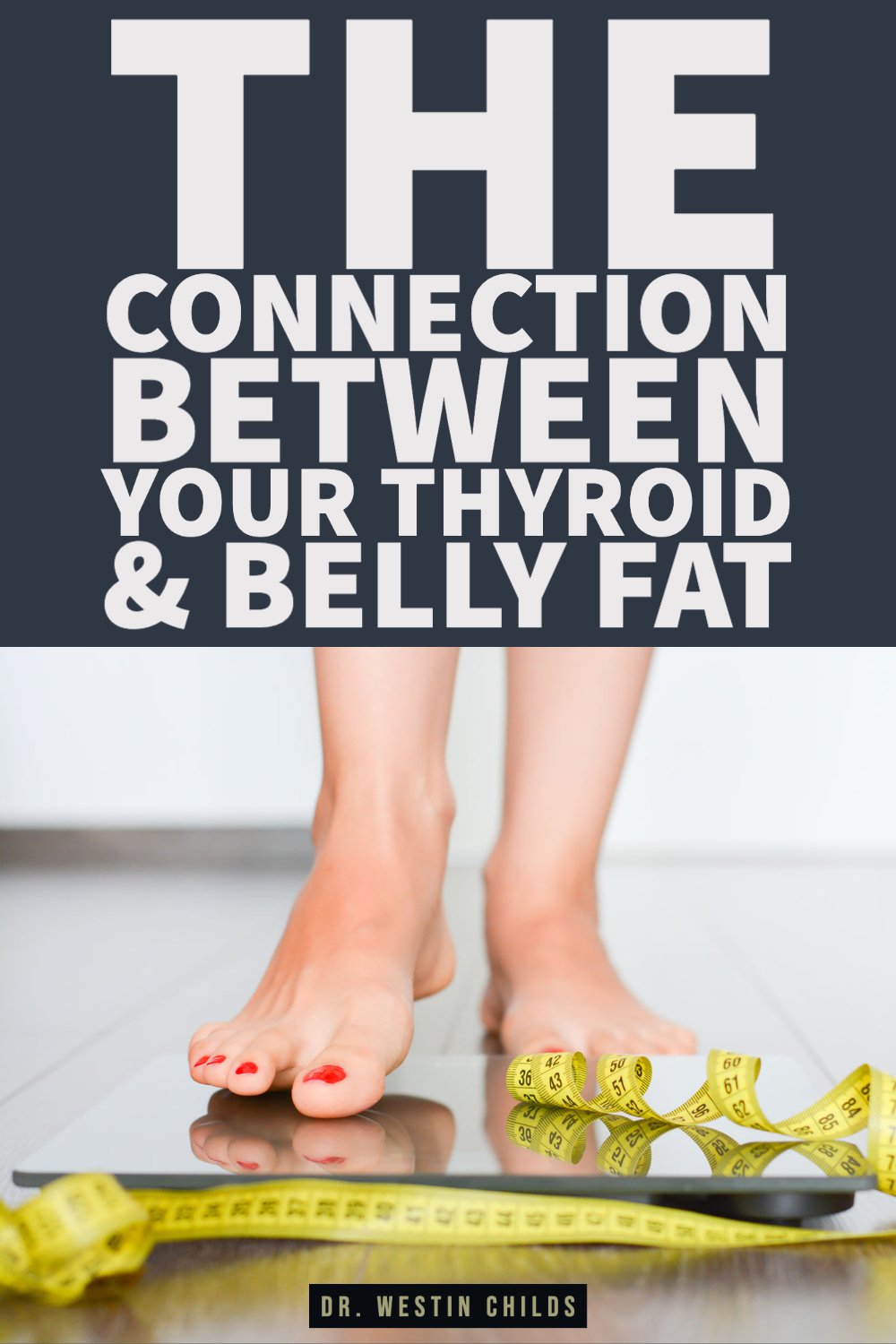 the connection between your thyroid & belly fat