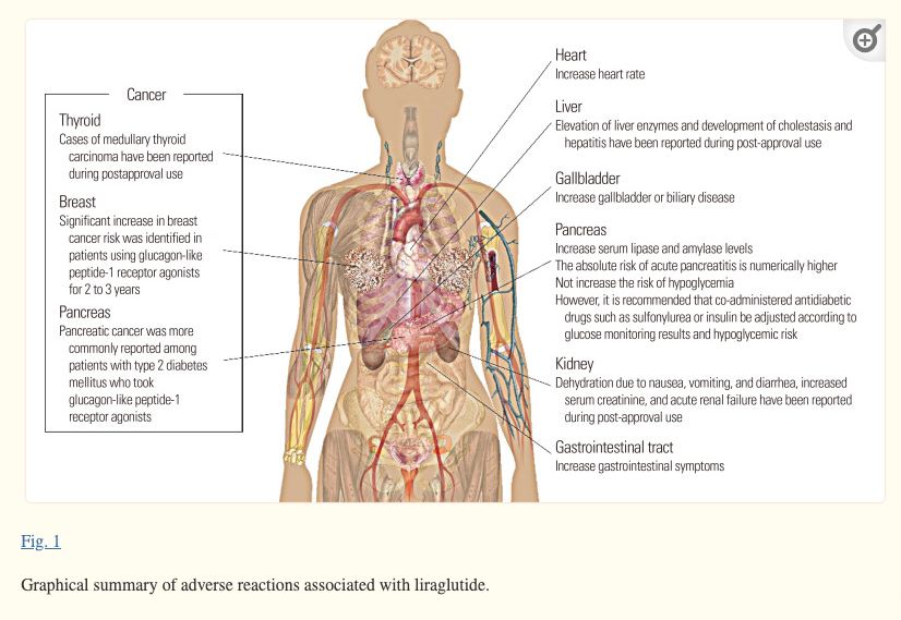 side effects associated with the use of liraglutide