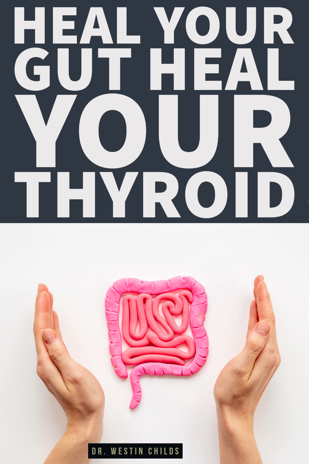 heal your gut heal your thyroid heal your gut heal your thyroid