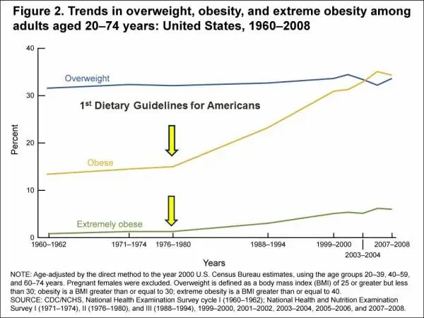 trends in obesity in the USA over time