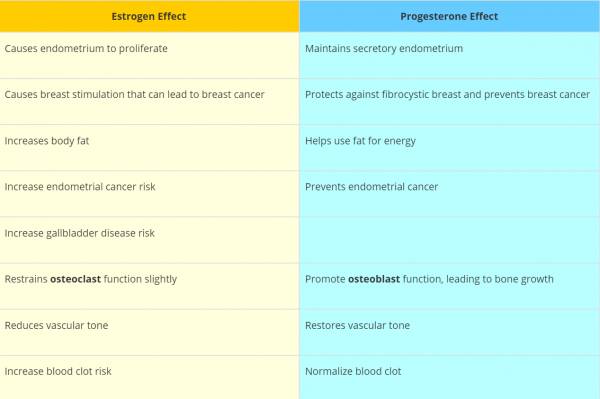 effect of estrogen vs effect of progesterone