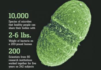 image describing the impact of the microbiome on the body