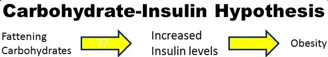 Increased insulin leads to obesity