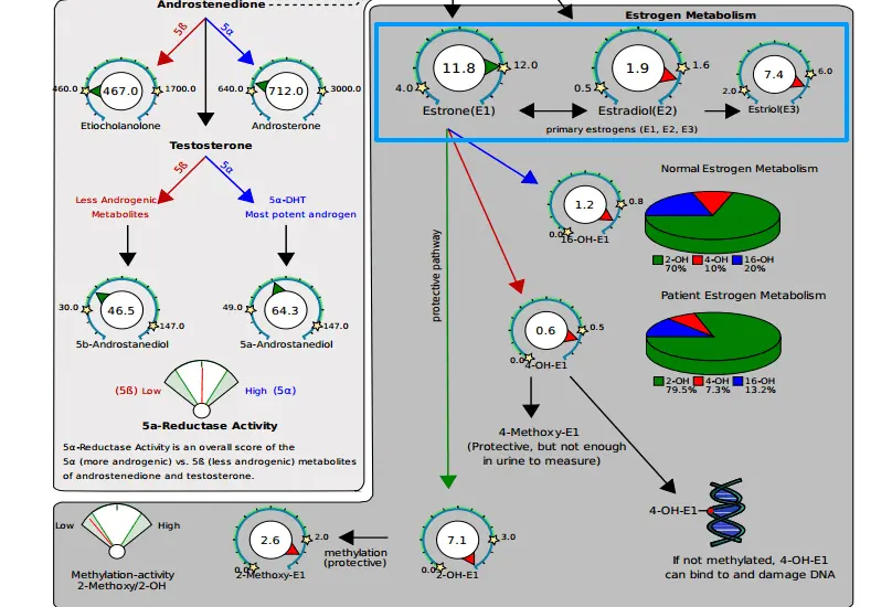 DUTCH lab test showing poor methylation