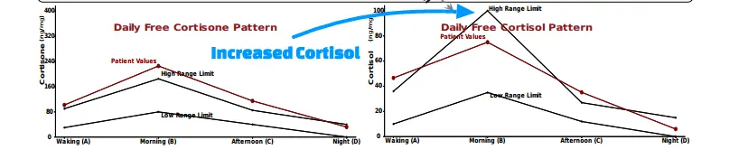 two graphs which outline cortisol levels at 4 points throughout the day with one graph showing elevated morning cortisol. 