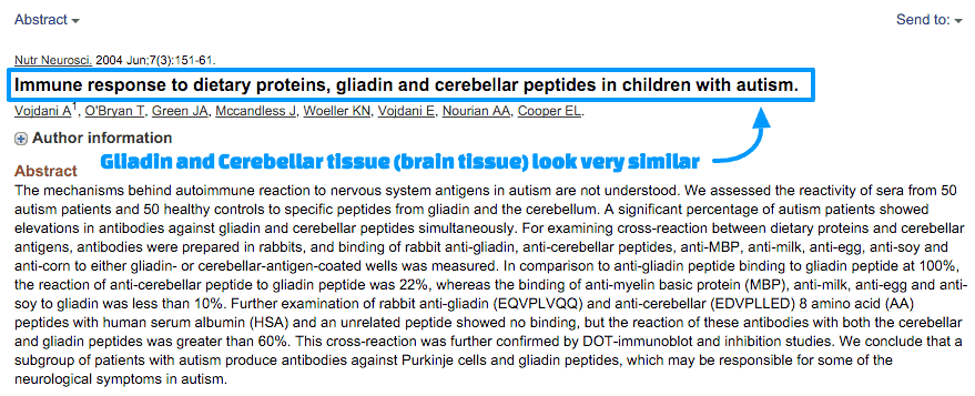 how gluten impacts various parts of the brain