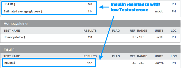 highlighted lab tests which show the connection between insulin resistance and elevated testosterone. 