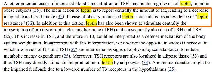 action of leptin in the body