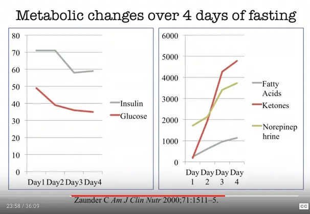 two graph which show the relationship between insuiln, glucose, fatty acids, ketones, and norepinephrine over a 4 day fast. 