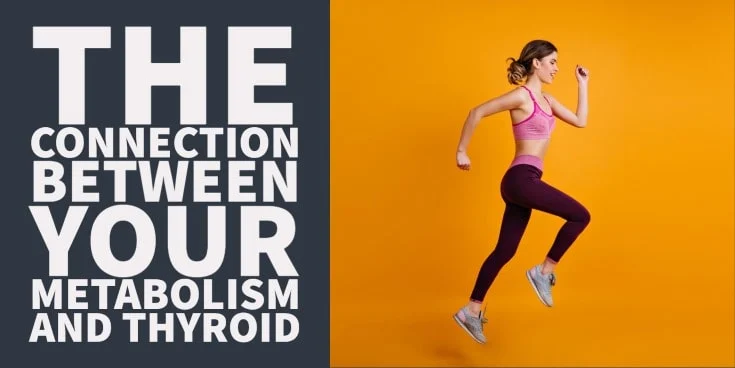 The connection between your metabolism and thyroid hormone