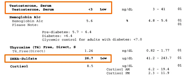 an example of a woman with both low free and total testosterone which are highlighted and flagged as abnormal. 