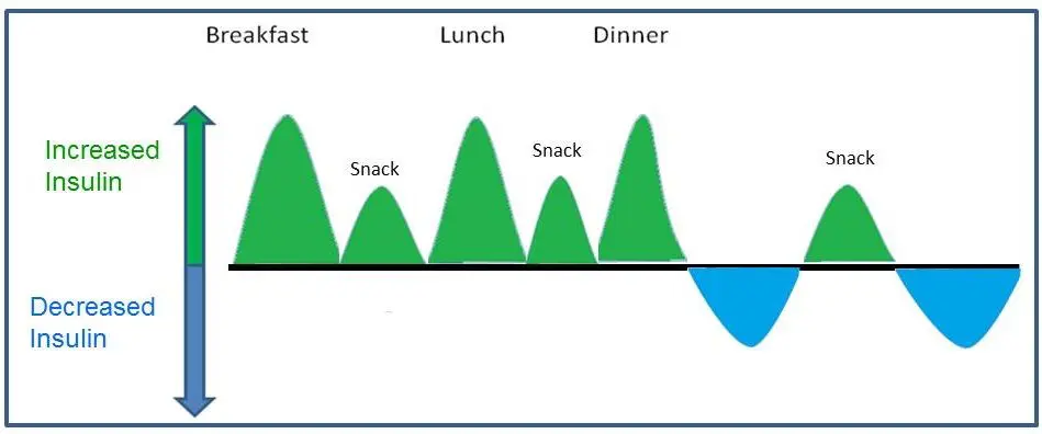 a graph showing the more frequently you eat the more often insulin levels will stay raised. 