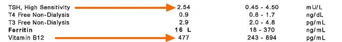 Dave's lab tests showing a low B12 and an high normal TSH. 