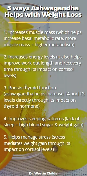 Benefits Of Ashwagandha Weight Loss Thyroid Adrenal Benefits Of Ashwagandha Weight Loss Thyroid Adrenal