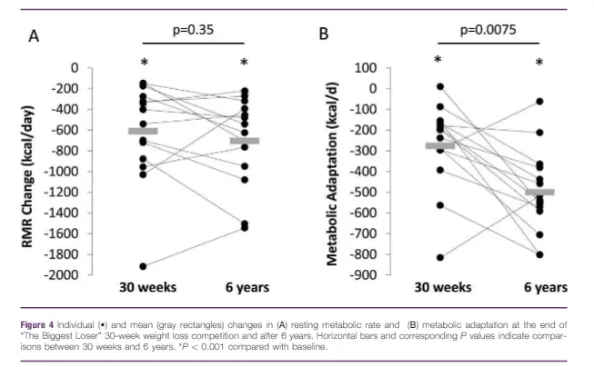 resting metabolic rate over time after calorie restriction