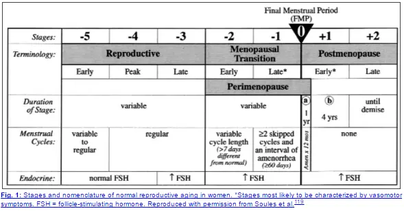 the stages of normal reproductive aging in women with the final menstrual period highlighted. 