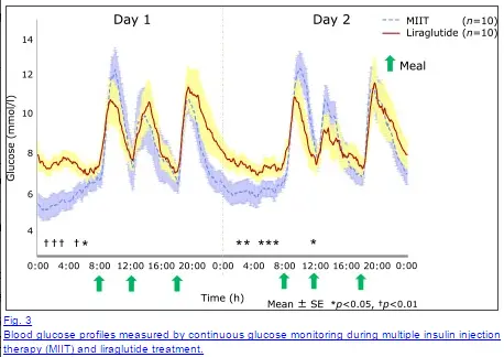 a graph showing serum glucose levels taken via continuous glucose monitoring with arrows pointing to the the corresponding effects of liraglutide.