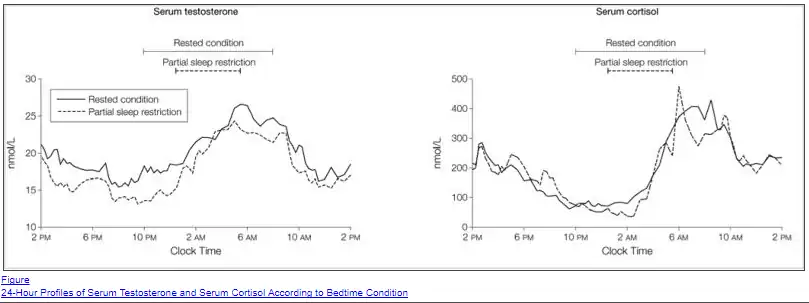 two graphs which show testosterone levels throughout the day based on sleep conditions. 