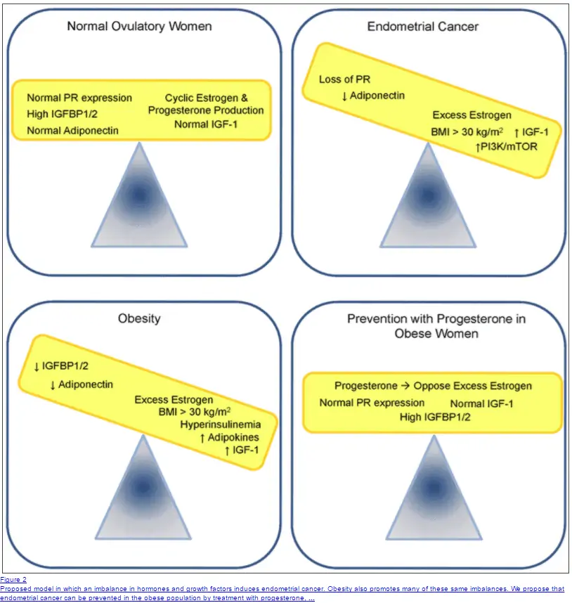 a schematic showing the proposed models by which hormones contribute to obesity and endometrial cancer. 