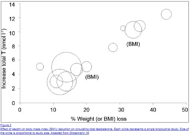 a graph highlighting testosterone levels and percent BMI of various studies which tested both. 