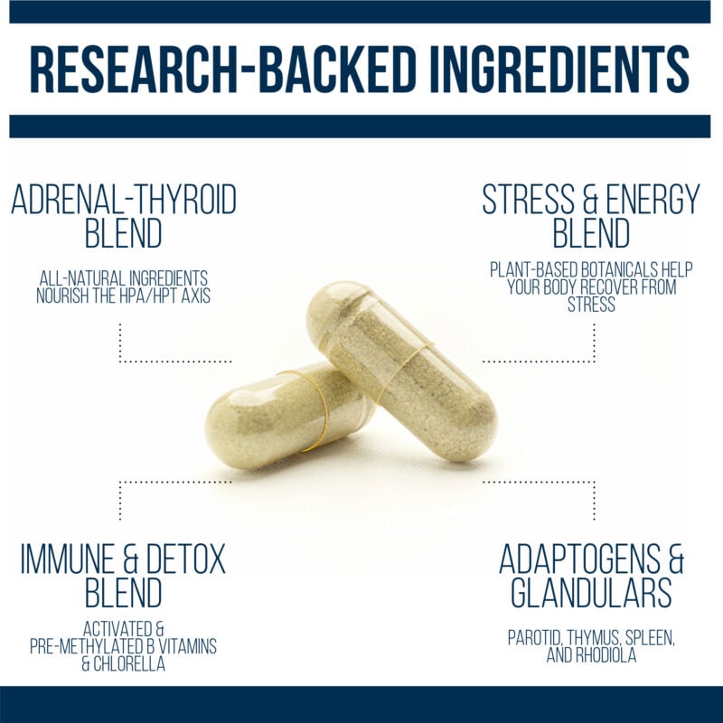 thyroid adrenal reset complex stress thyroid adrenal cortisol energy immune adaptogen blends