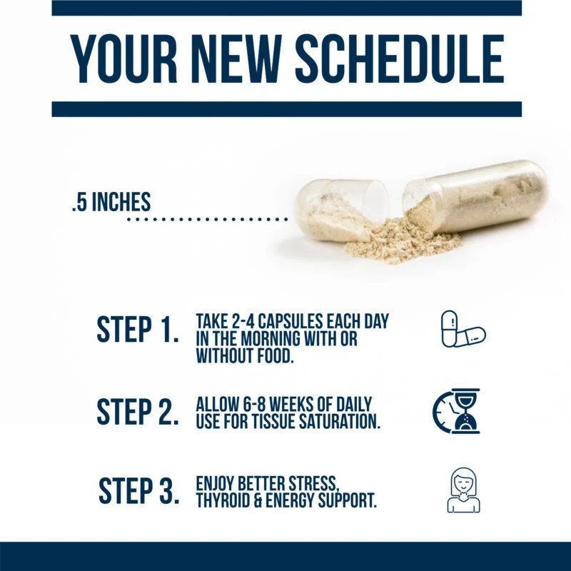 thyroid adrenal reset complex your new schedule for managing thyroid adrenal fatigue