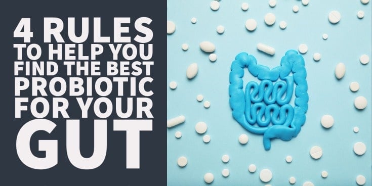 4 Rules To Help you Find The Best Probiotic For Your Gut