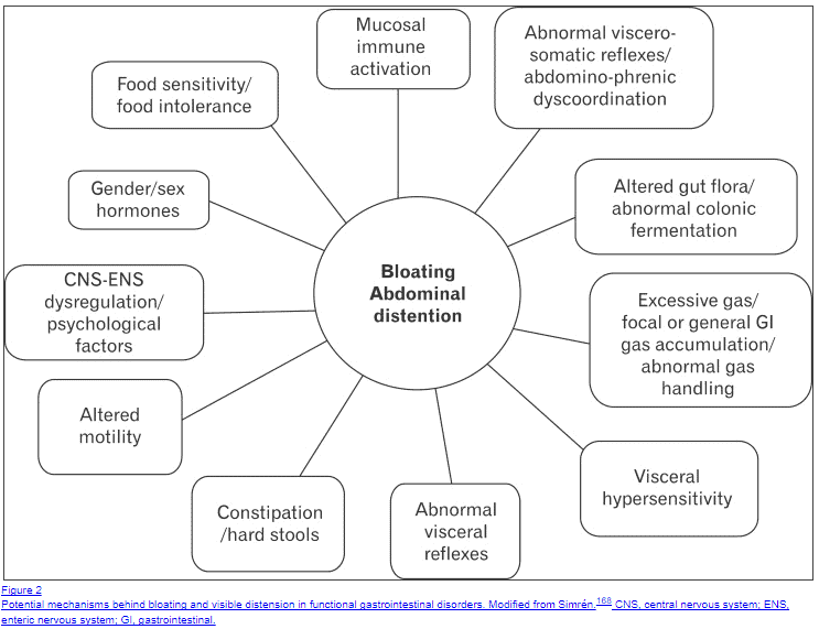 a diagram showing 11 different causes of abdominal distention and abdominal bloating. 