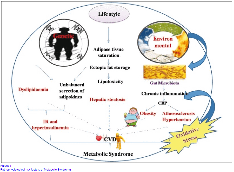 Connection between intesitnal dysbiosis and metabolic syndrome