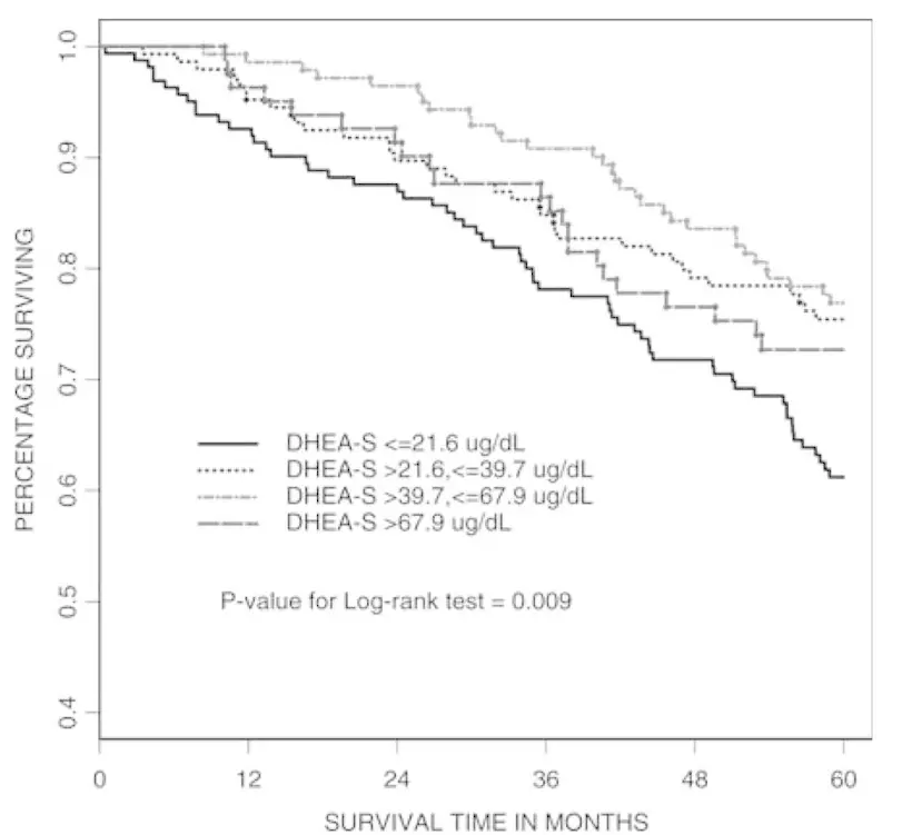 Dhea Level Chart