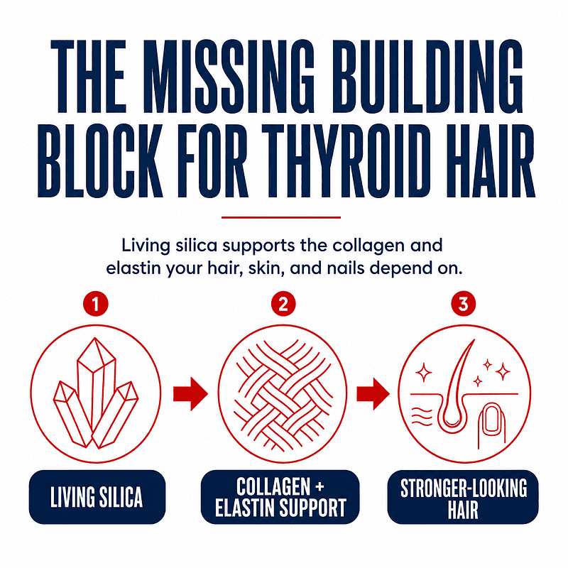 the missing building block for thyroid hair - living silica