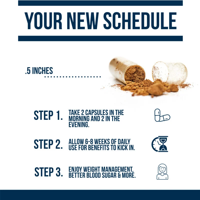 Your new schedule when taking berberine 500+