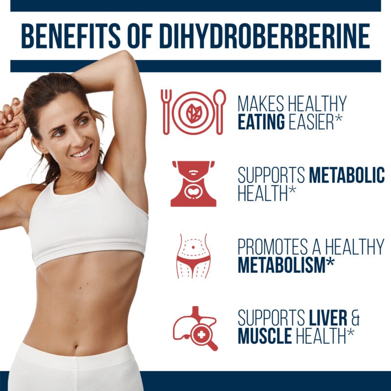 benefits of dihydroberberine on diet appetite metabolism liver and muscle health