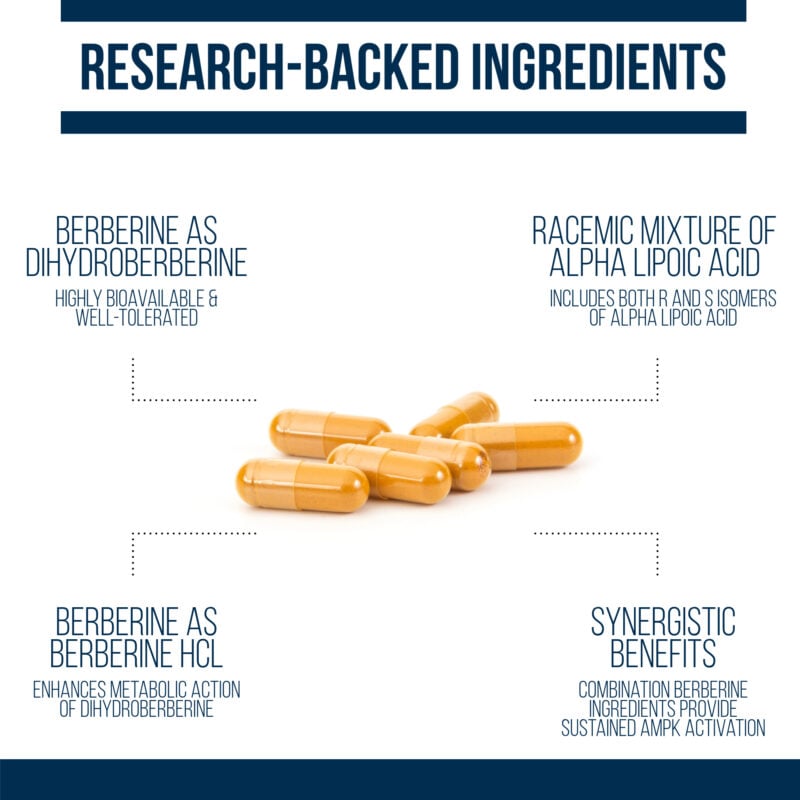 berberine 500+ contains clinically effective doses with two forms of berberine and alpha lipoic acid