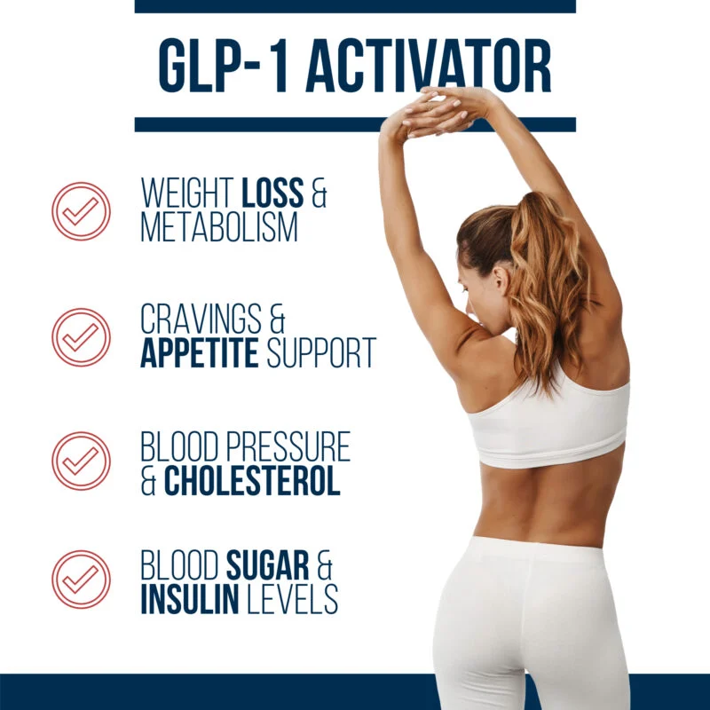 berberine dihydroberberine activates glp 1 for metabolism cravings digestion energy calorie