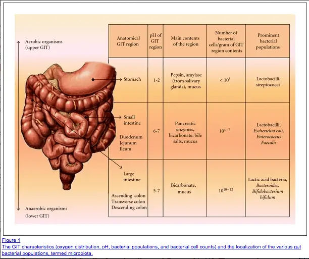 Urinary Tract Infections and Bacterial Vaginosis