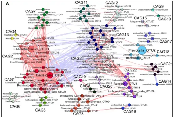 intestinal dysbiosis in women with PCOS