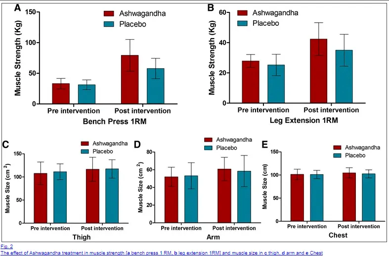 aswhagandha on muscle strength and weight loss