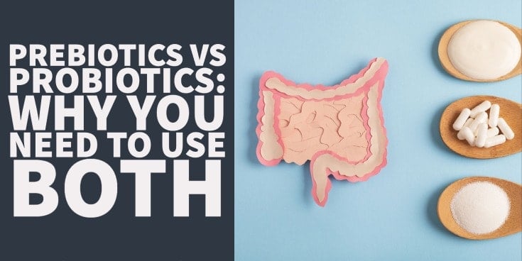 Prebiotics vs Probiotics: Why you Need to use Both