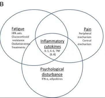 fatigue and inflammation pathway