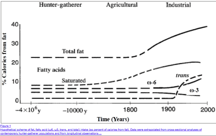 high dat diet increases risk of obesity