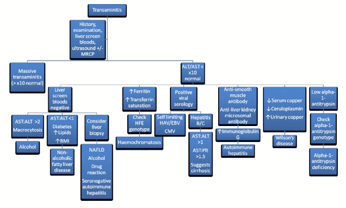 Treatment algorithm for high ast and high alt